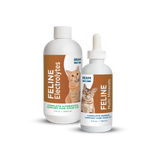 Thumbnail for BEAM Minerals - Advanced Feline Mineral and Electrolyte Replenishment Set (Feline Multi Minerals & Electrolytes)