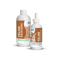 Thumbnail for BEAM Minerals - Advanced Feline Mineral and Electrolyte Replenishment Set (Feline Multi Minerals & Electrolytes)