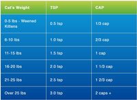 Thumbnail for BEAM Minerals - Advanced Feline Mineral and Electrolyte Replenishment Set (Feline Multi Minerals & Electrolytes)