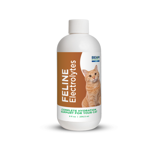 BEAM Minerals - Advanced Feline Mineral and Electrolyte Replenishment Set (Feline Multi Minerals & Electrolytes)