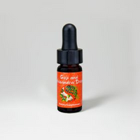 Thumbnail for Dragon Herbs Goji & Schizandra Mini Drops 0.25oz (7.5ml)