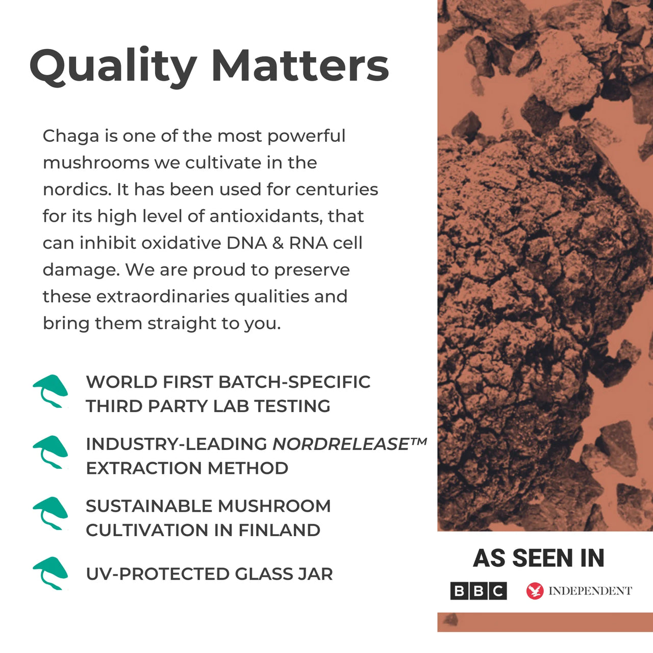 KÄÄPÄ Mushrooms - Organic Chaga Extract Powder (30g)