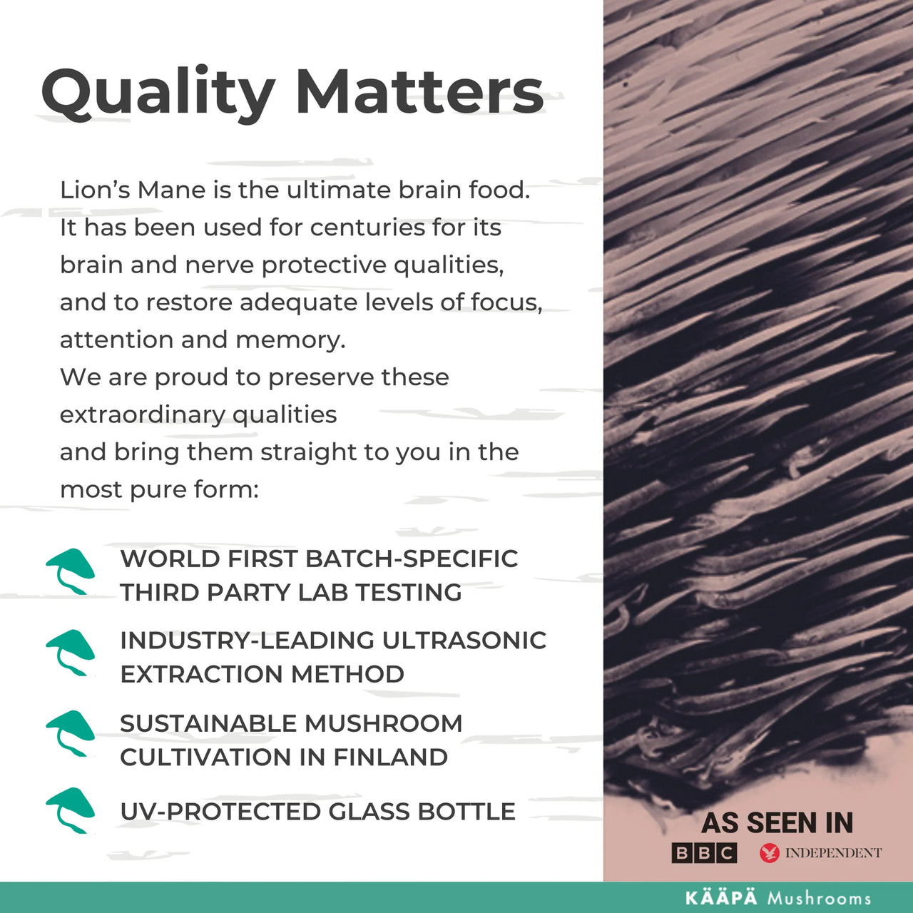 KÄÄPÄ Mushrooms - Lion's Mane Extract Powder (30g)