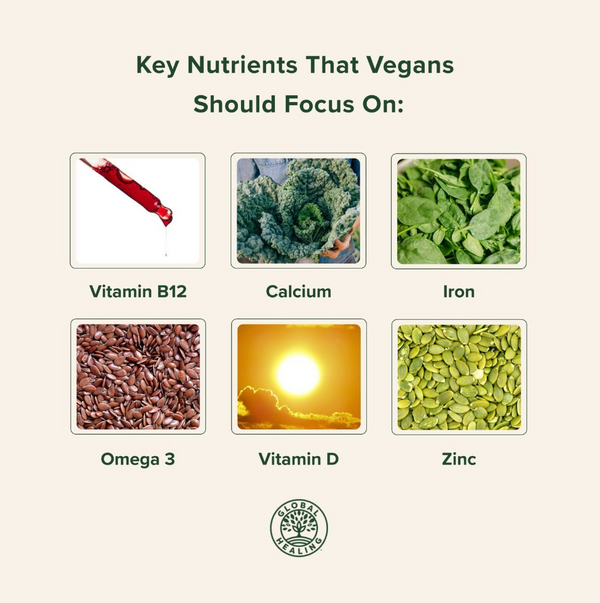 Global Healing | Vitamin B12 | 2fl Oz / 59.2ml (approx 60 servings)