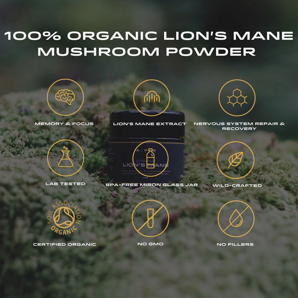APE Nutrition - Organic Lion’s Mane Mushroom Powder | 8:1 Extract (40g)