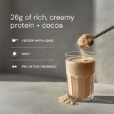 Thumbnail for Blueprint | Longevity Protein - Chocolate (1.5kg)