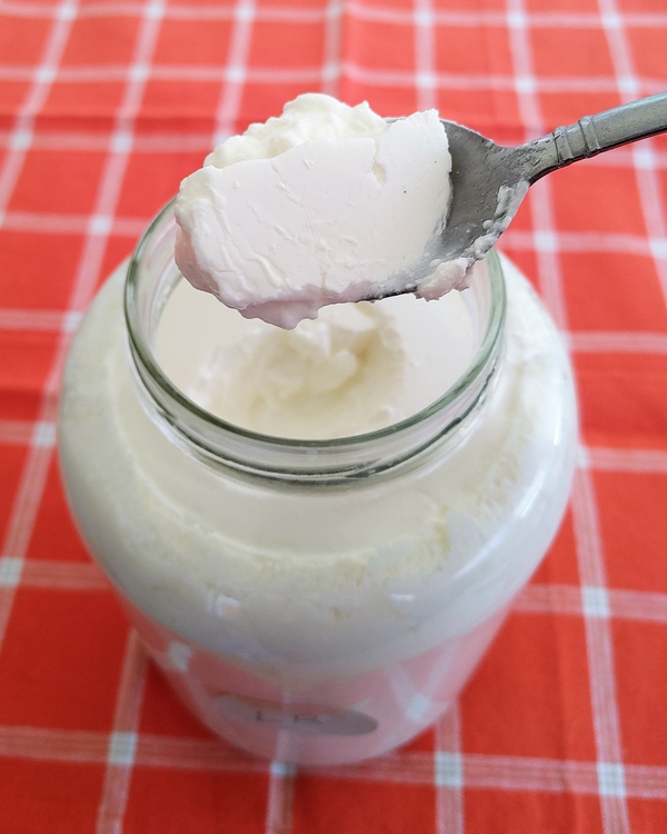 Cutting Edge Cultures |  LR Superfood Starter (to make L. Reuteri fermented dairy)