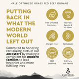 Thumbnail for Ancestral Supplements - Male Optimization Formula With Organs - MOFO - (180 capsules / 410mg)
