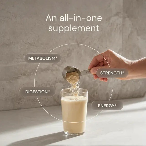 Blueprint | Metabolic Protein Powder - Chai (1091g)