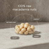 Thumbnail for Blueprint | Raw Macadamias (113g)