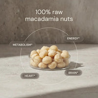 Thumbnail for Blueprint | Raw Macadamias (113g)