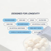 Thumbnail for Blueprint | Macadamia Protein Bars - Raspberry (12x40g Bars)