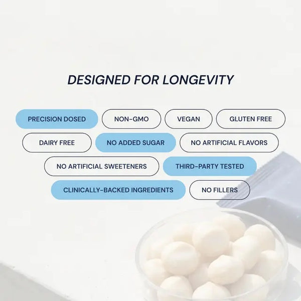 Blueprint | Macadamia Protein Bars - Raspberry (12x40g Bars)