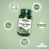 Thumbnail for Natures Aid Ginkgo Biloba 120mg (90 capsules)