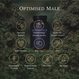 Thumbnail for APE Nutrition - Organic & Grass-Fed Optimised Male | Beef Testicle & Liver Capsules (180caps)