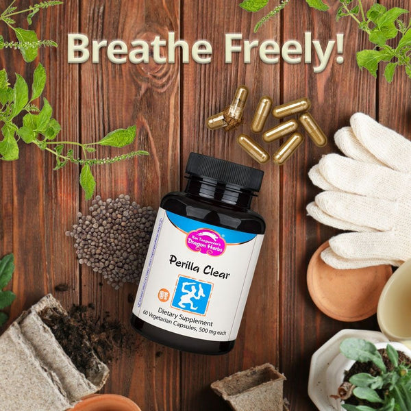 Dragon Herbs - Perilla Clear™ Breathe Freely (60caps/500mg)