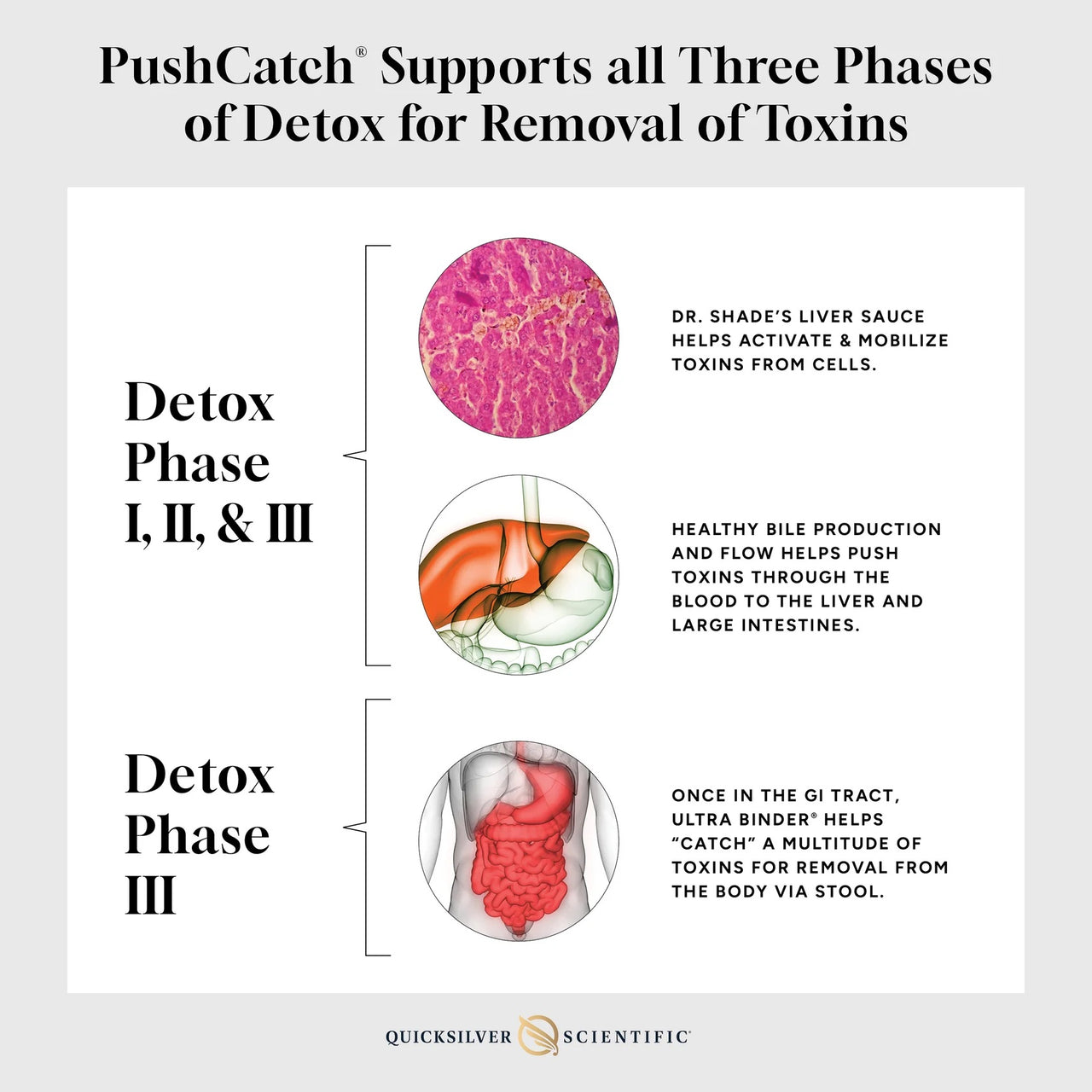 Quicksilver Scientific | PushCatch® Liver Detox