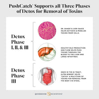 Thumbnail for Quicksilver Scientific | PushCatch® Liver Detox