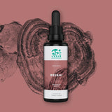 Thumbnail for KÄÄPÄ Mushrooms - Reishi Organic Traditional Tincture (50ml)