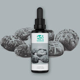 Thumbnail for KÄÄPÄ Mushrooms - Shiitake Organic Traditional Tincture (50ml)