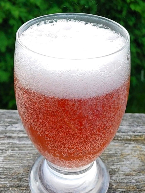 Cutting Edge Cultures | Kefir Soda Starter