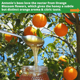 Thumbnail for Antonio - Orange Blossom Honey 500g (Raw, Organic)