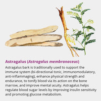 Thumbnail for Dragon Herbs Tao in a Bottle 60caps (450mg)