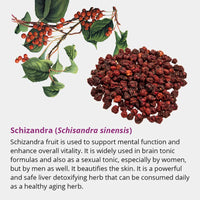 Thumbnail for Dragon Herbs Tao in a Bottle 60caps (450mg)