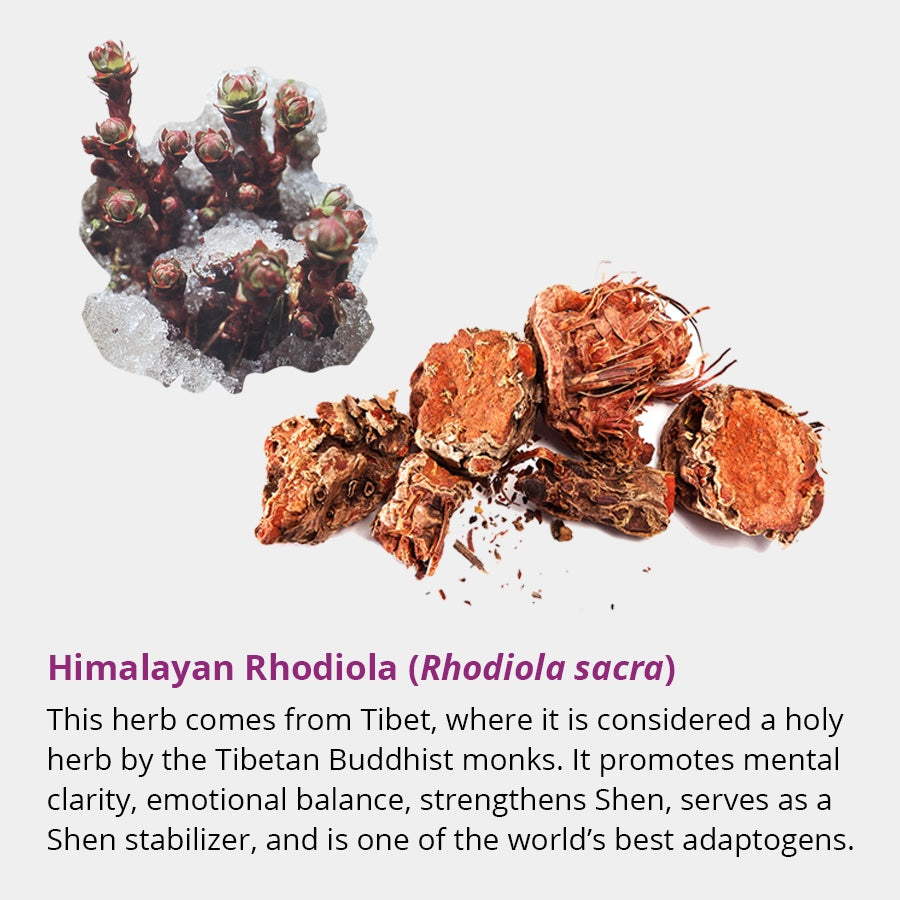 Dragon Herbs Tao in a Bottle 60caps (450mg)