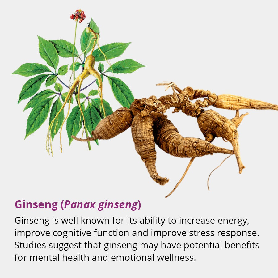 Dragon Herbs Tao in a Bottle 60caps (450mg)