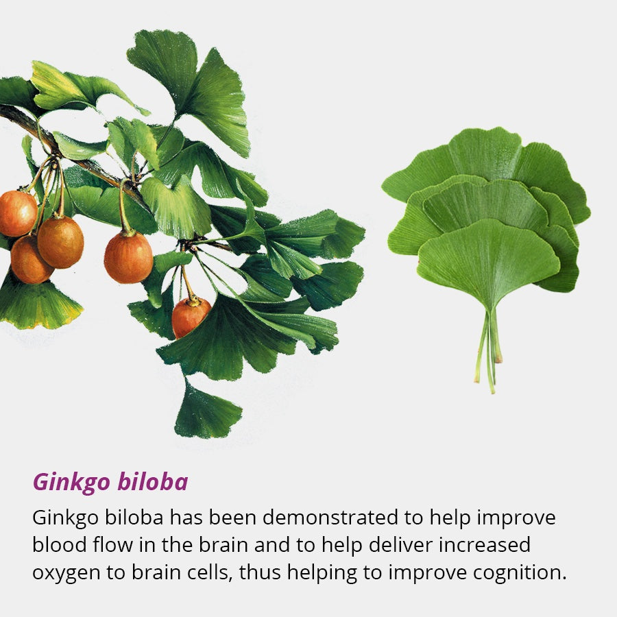 Dragon Herbs Tao in a Bottle 60caps (450mg)