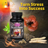 Thumbnail for Dragon Herbs Tao in a Bottle 60caps (450mg)