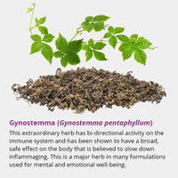 Thumbnail for Dragon Herbs Tao in a Bottle 60caps (450mg)