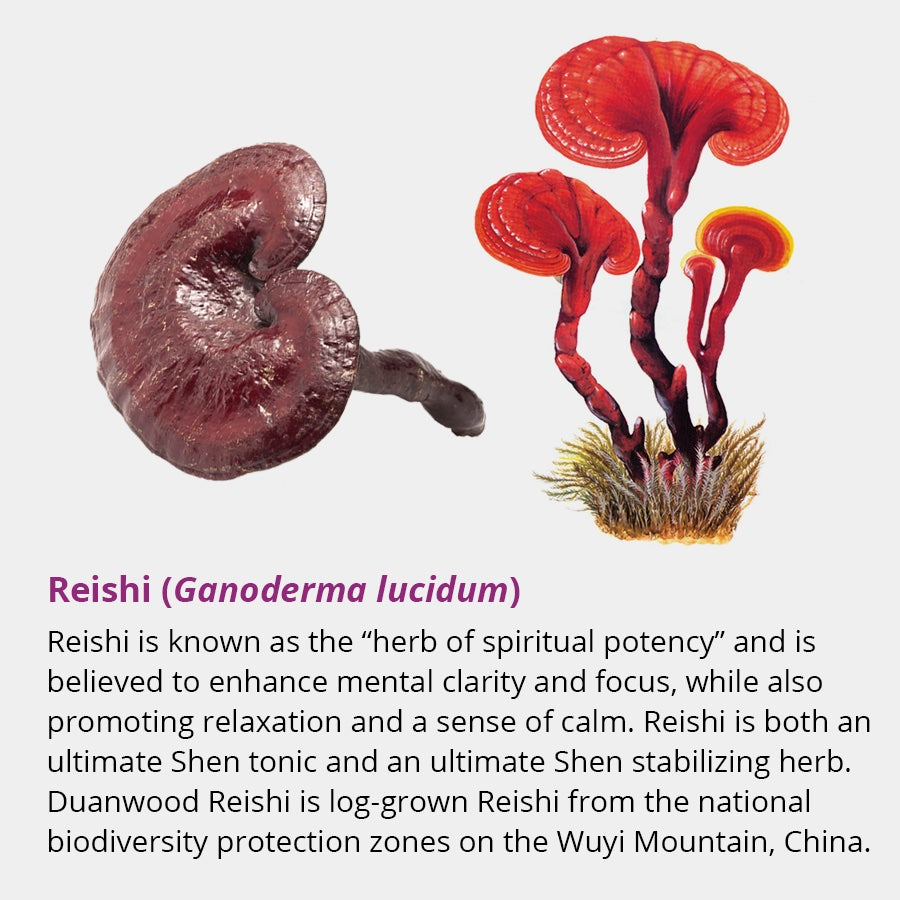 Dragon Herbs Tao in a Bottle 60caps (450mg)