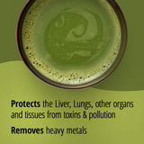 Thumbnail for Dragon Herbs - Tonic Alchemy Superfood Blend (9.5oz/270g)