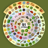 Thumbnail for Dragon Herbs - Tonic Alchemy Superfood Blend (9.5oz/270g)