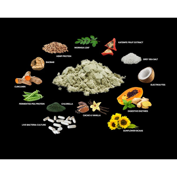 Revolution Foods - REPAIR Plant Protein & BCAA'S Chocolate Flavour 1KG