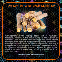 Thumbnail for Primal Alchemy - Transcended Ashwagandha 40g