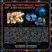 Thumbnail for Primal Alchemy - Transcended Ashwagandha 40g