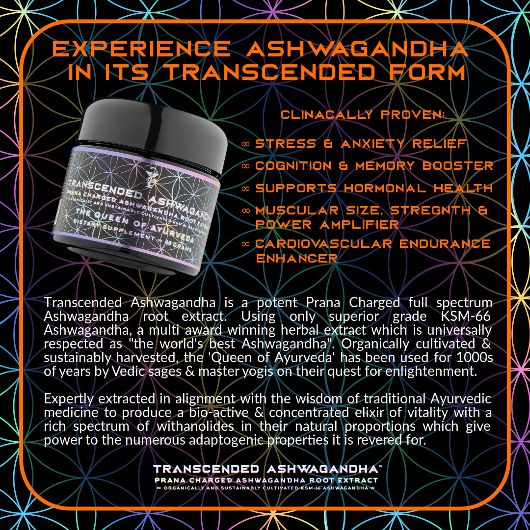 Primal Alchemy - Transcended Ashwagandha 40g