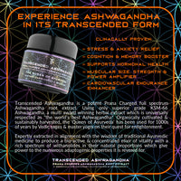 Thumbnail for Primal Alchemy - Transcended Ashwagandha 40g