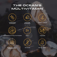 Thumbnail for APE Nutrition - Celtic Oysters 120 caps