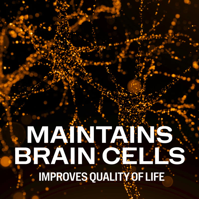Vimergy Herbs - Brain Body Memory 44.5g (Citicoline, Magnesium Glycinate, B12)