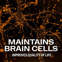 Thumbnail for Vimergy Herbs - Brain Body Memory 44.5g (Citicoline, Magnesium Glycinate, B12)
