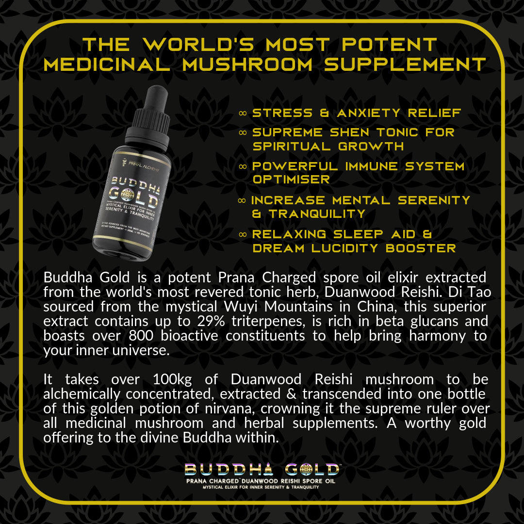 Primal Alchemy - Buddha Gold 30ml (Reishi Spore Oil)