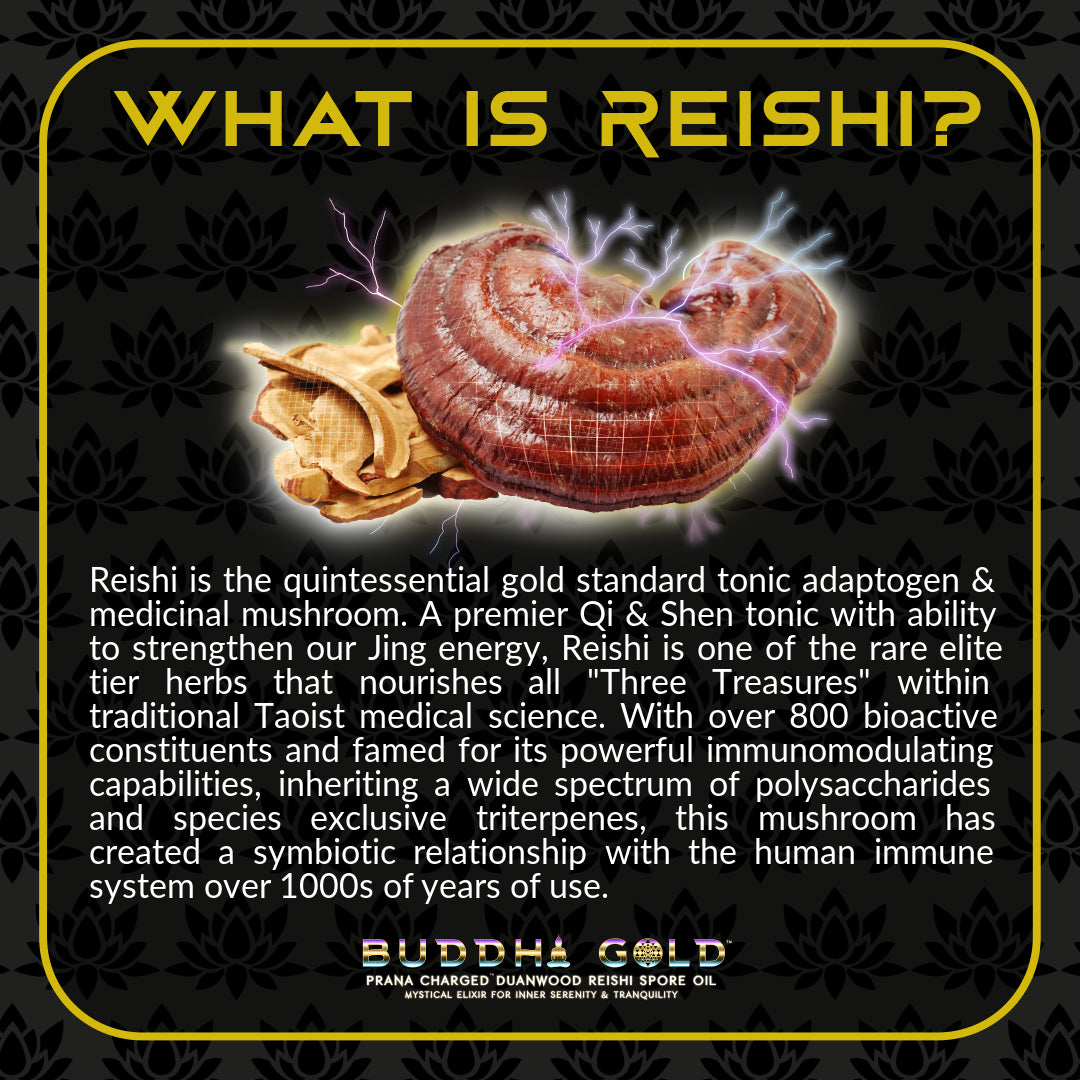 Primal Alchemy - Buddha Gold 30ml (Reishi Spore Oil)