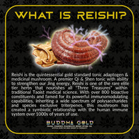 Thumbnail for Primal Alchemy - Buddha Gold 30ml (Reishi Spore Oil)