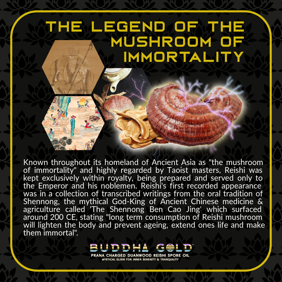 Primal Alchemy - Buddha Gold 30ml (Reishi Spore Oil)