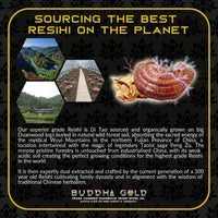 Thumbnail for Primal Alchemy - Buddha Gold 30ml (Reishi Spore Oil)