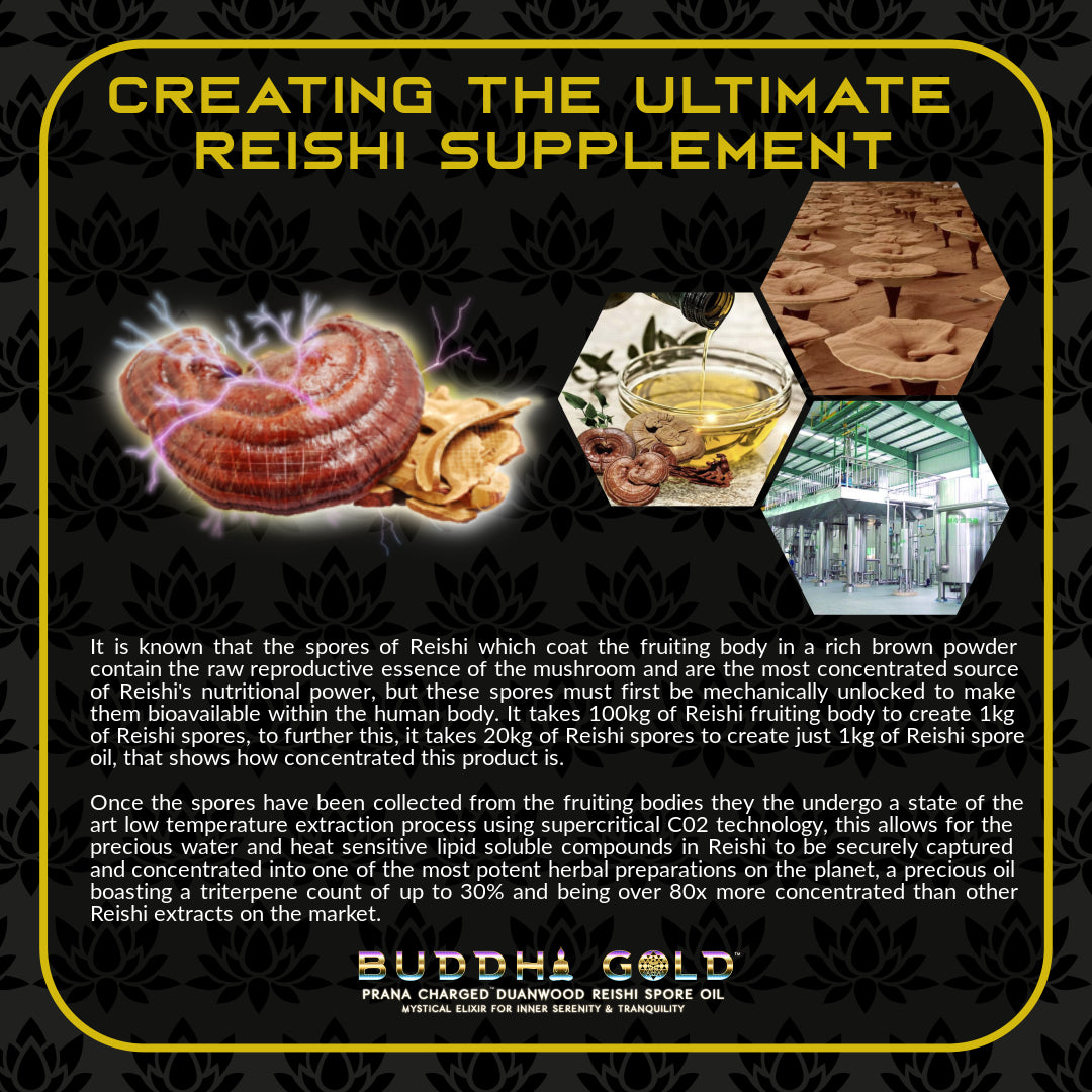 Primal Alchemy - Buddha Gold 30ml (Reishi Spore Oil)